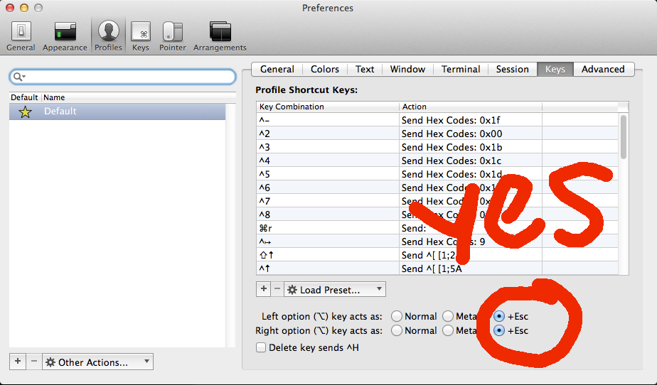iTerm Meta Key
